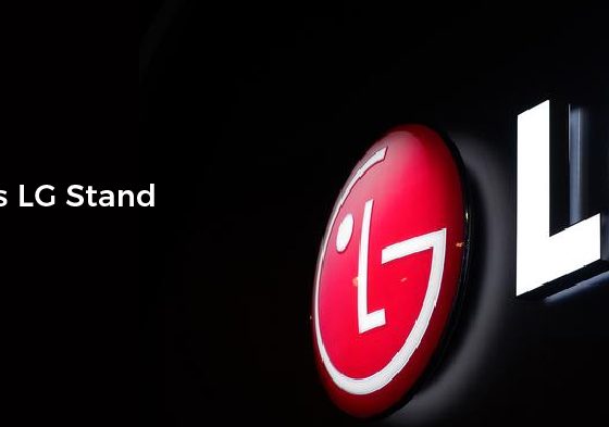What Does LG Stand For?