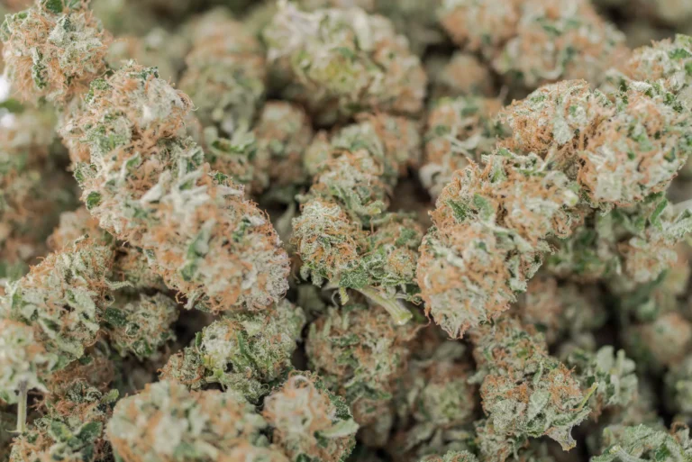 How Digital Platforms Are Connecting Customers With Cannabis Retailers